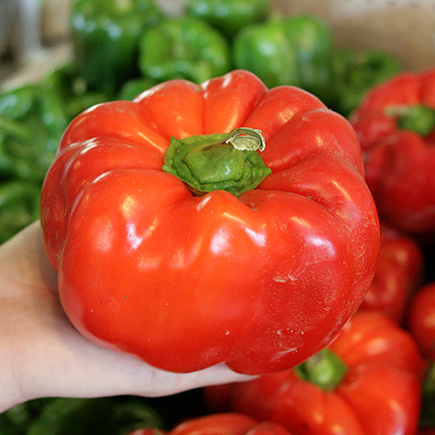 Red and Green Peppers